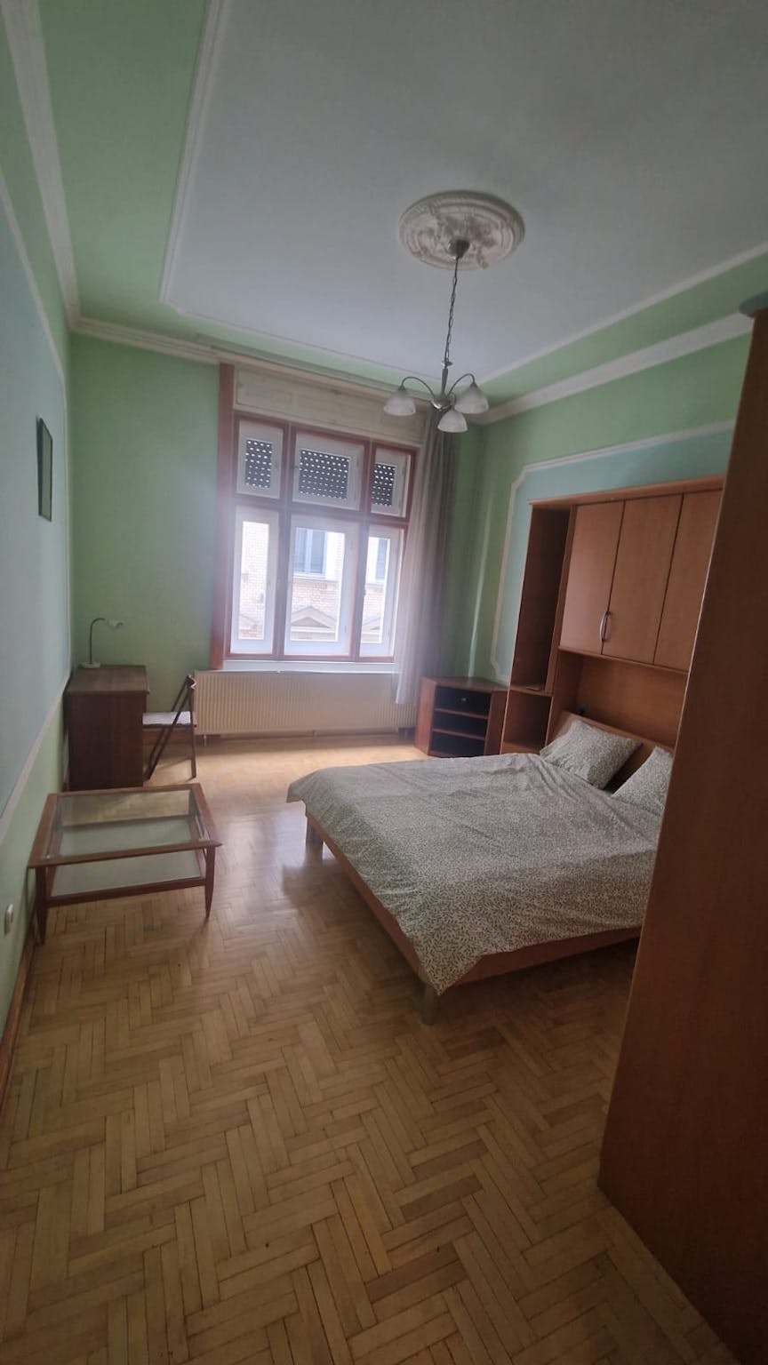 Váci utca, Budapest preview