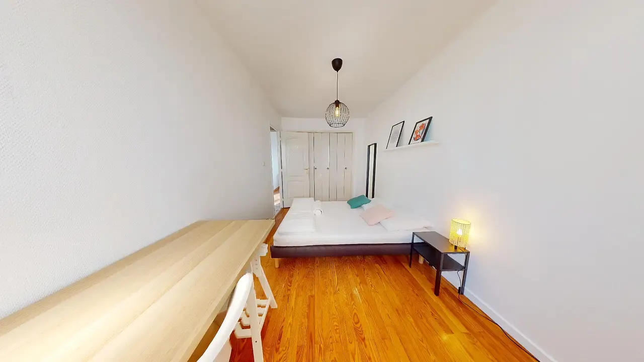 Private room in Rue Professeur Beauvisage, Lyon (1695002) ROOM 1