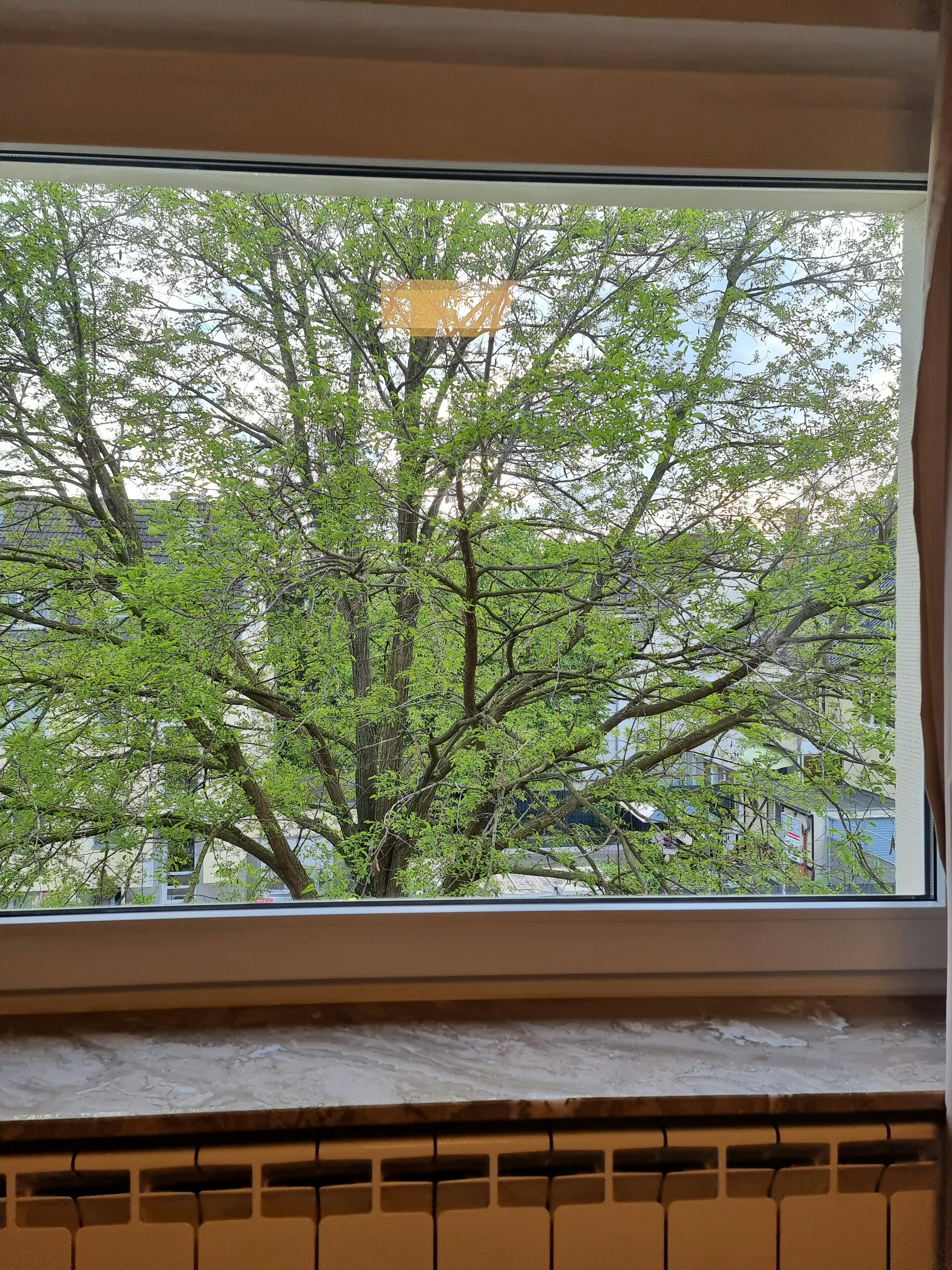 公寓 正在以 €1,200 的月租出租，其位于 Düsseldorf, Richardstraße