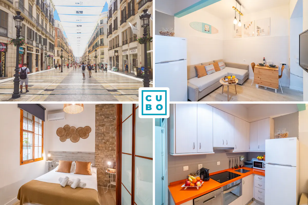 1-Bedroom Apartment in Calle Álvarez, Málaga (1695645) ROOM