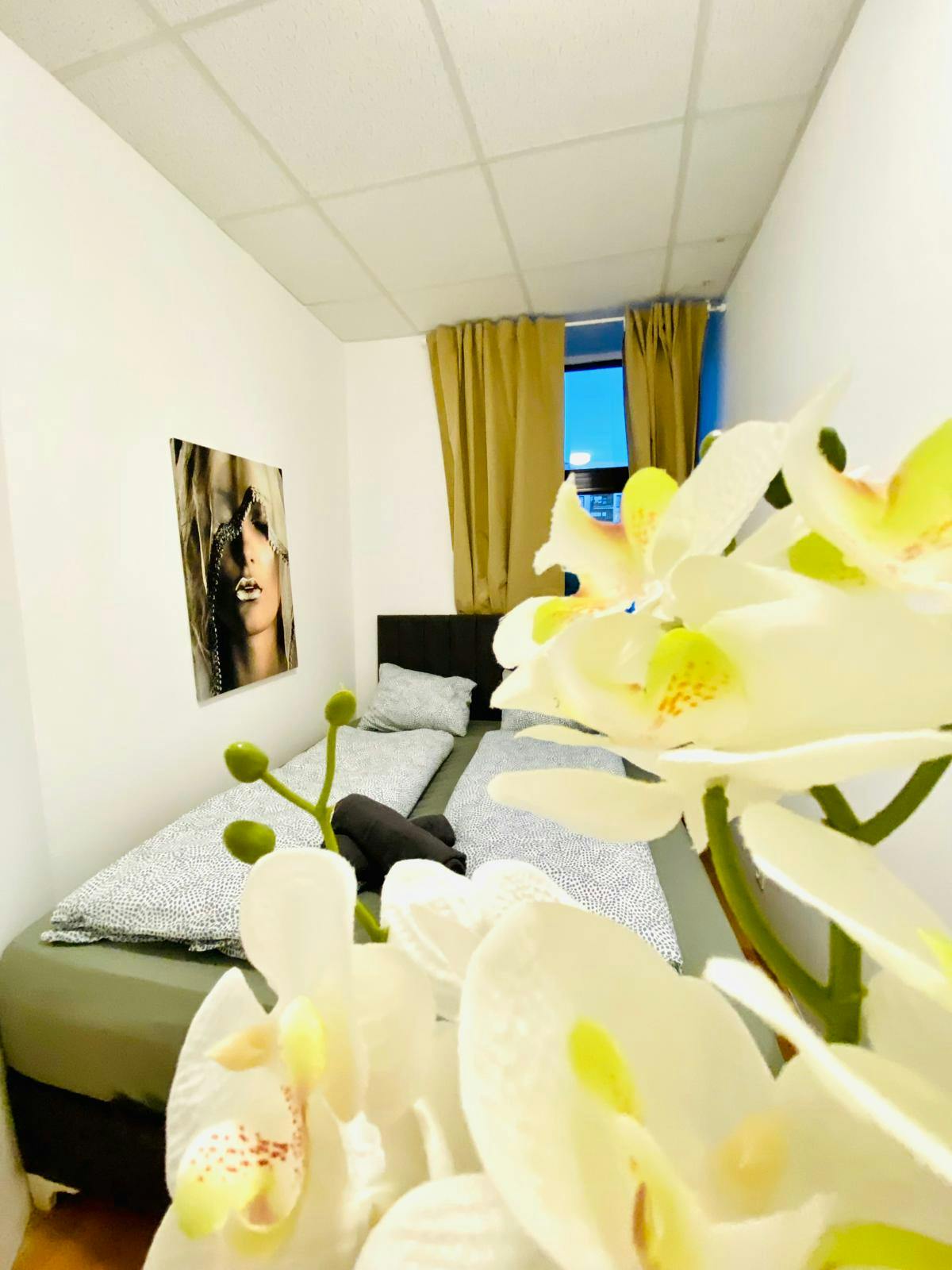 Single room Perchtoldsdorf, 1 bed, 12m² — photo 4