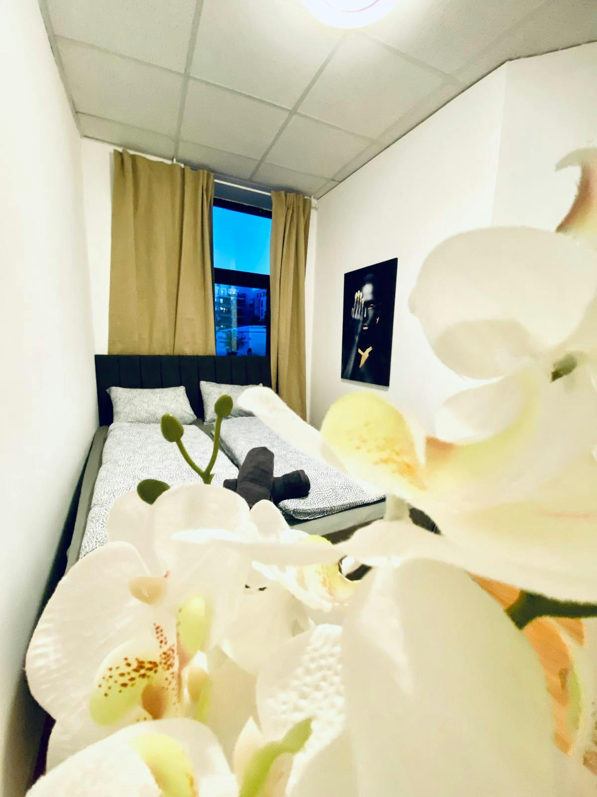 Single room Perchtoldsdorf, 1 bed, 12m² — photo 5