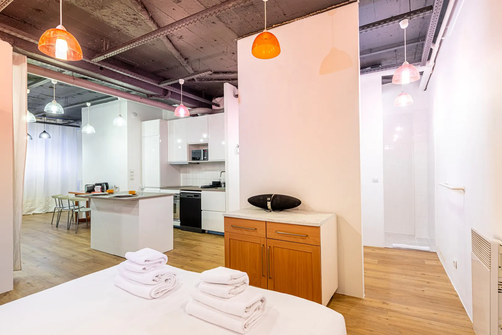 1-Bedroom Apartment in Rue Agar, Paris (1697868) ROOM 2