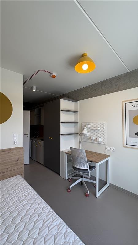 WG-Zimmer zu mieten für 2.800 PLN pro Monat in Kraków, Wita Stwosza