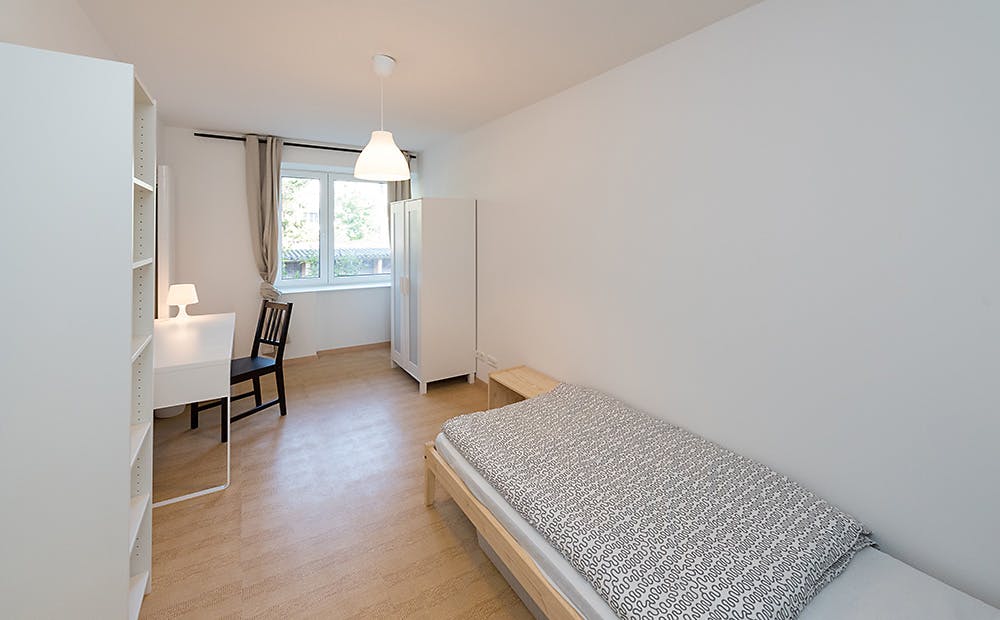 Grünwalder Straße, Munich preview