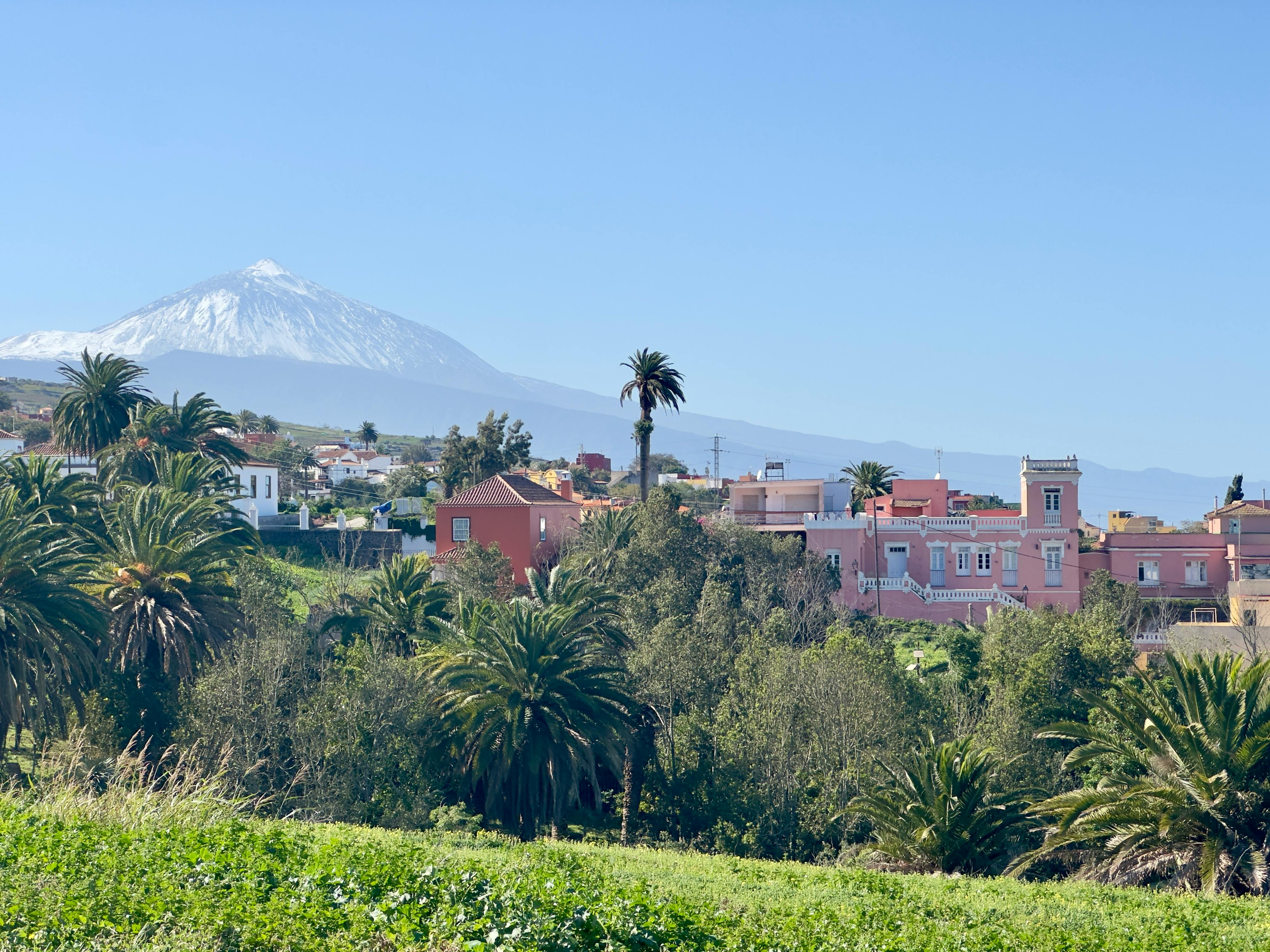 Casă de închiriat pentru 5.200 EUR pe lună în Tacoronte, Calle Sebastian Machado
