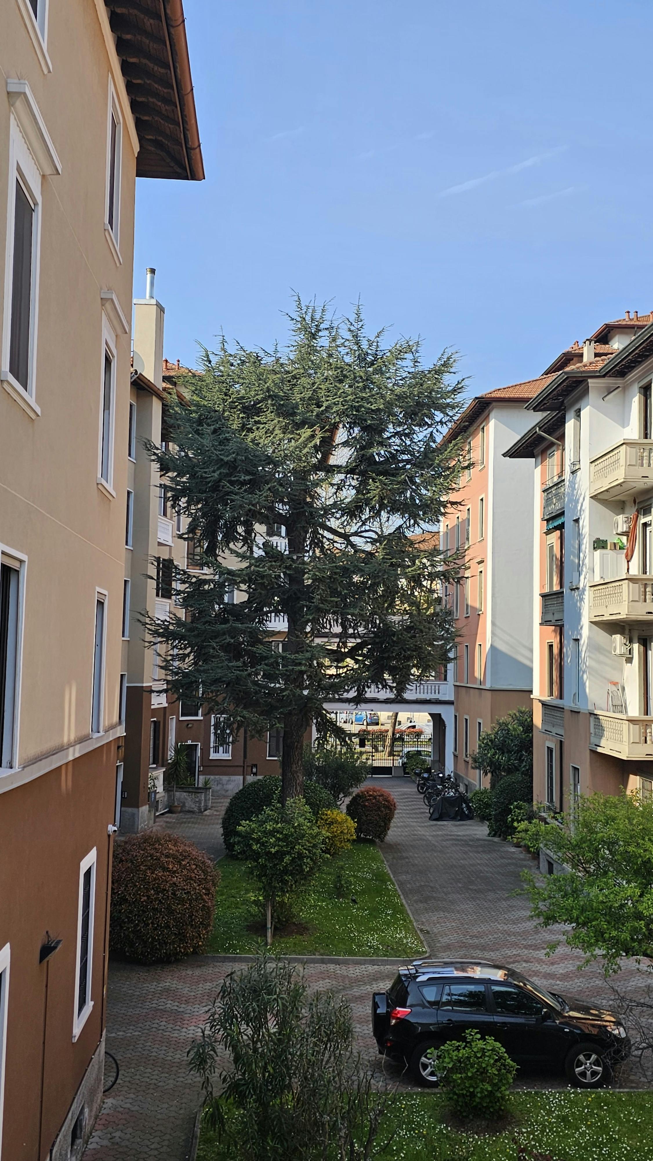 Viale Tibaldi, Milan preview