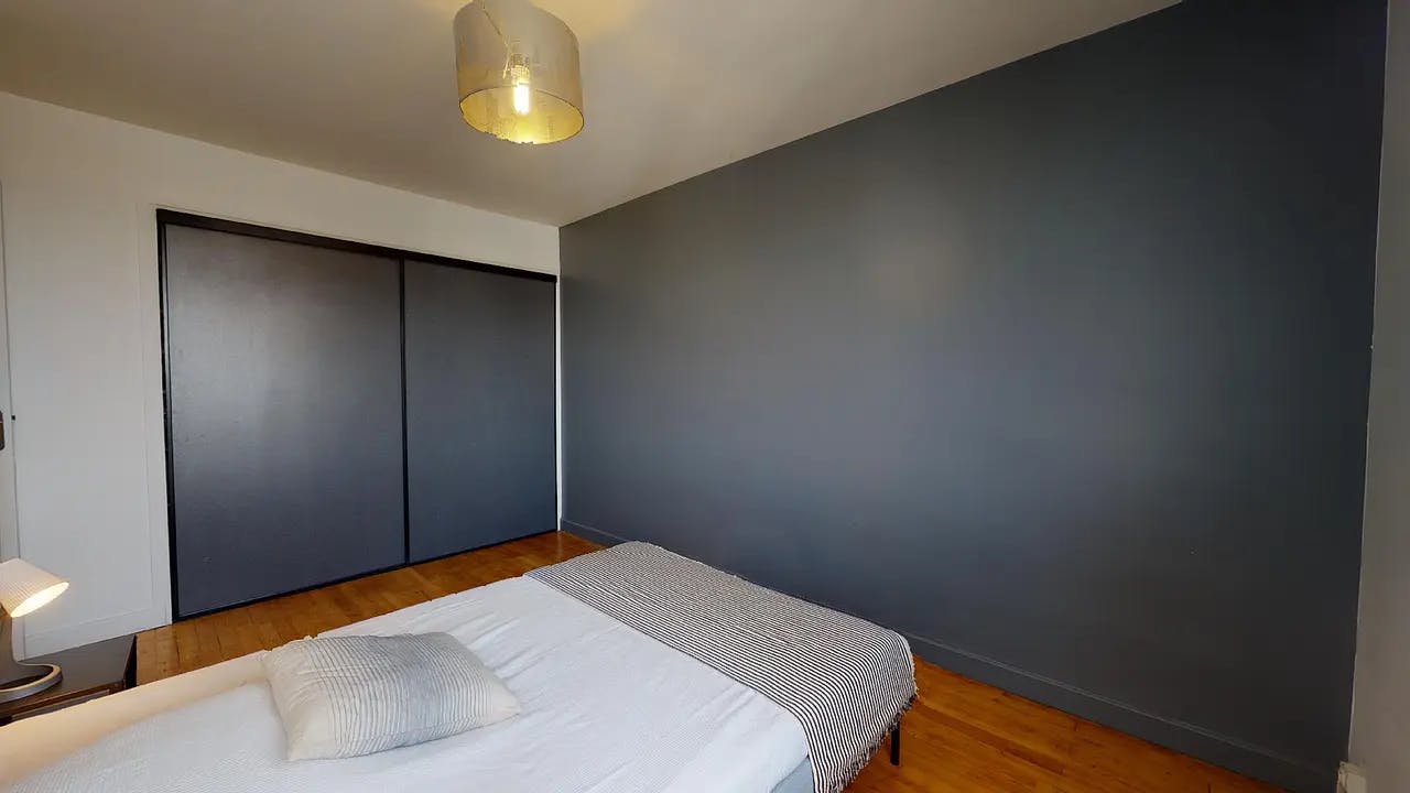 Private room in Rue Francis de Pressensé, Villeurbanne (1699468) ROOM 1