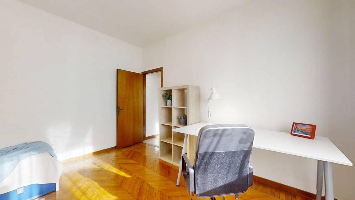 Via Cernaia, Padova preview