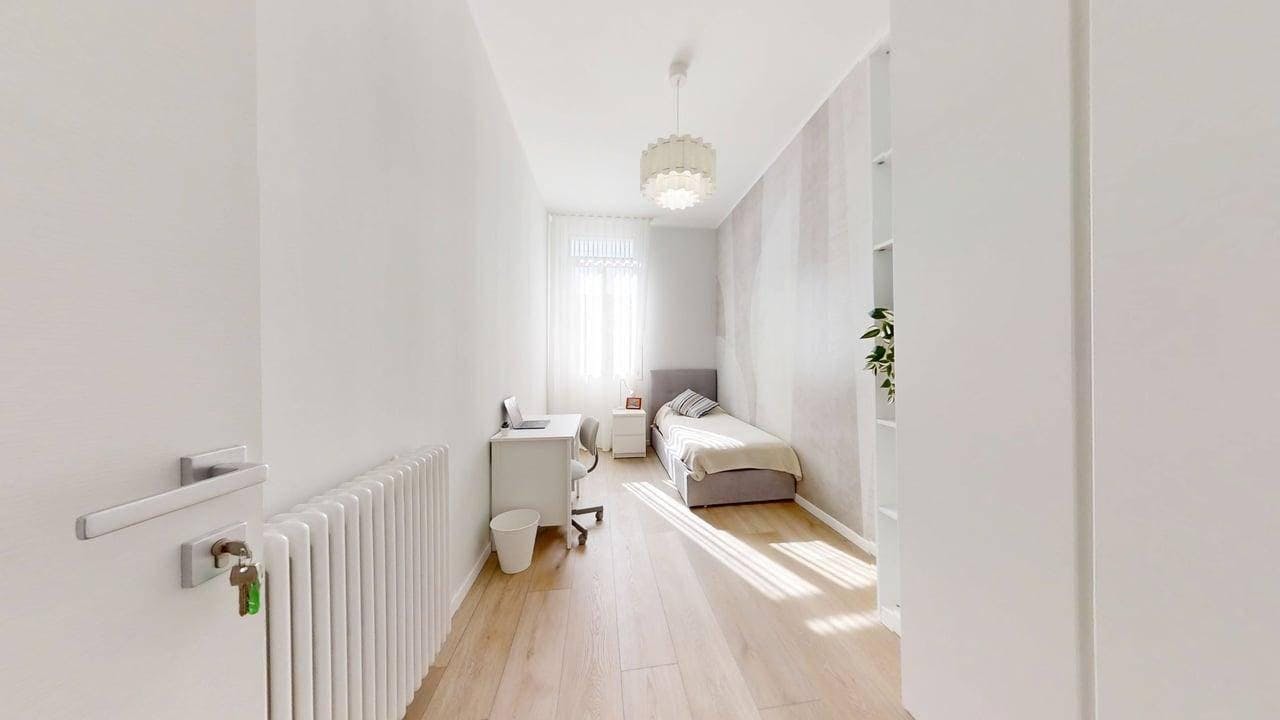 Via San Francesco, Padova preview