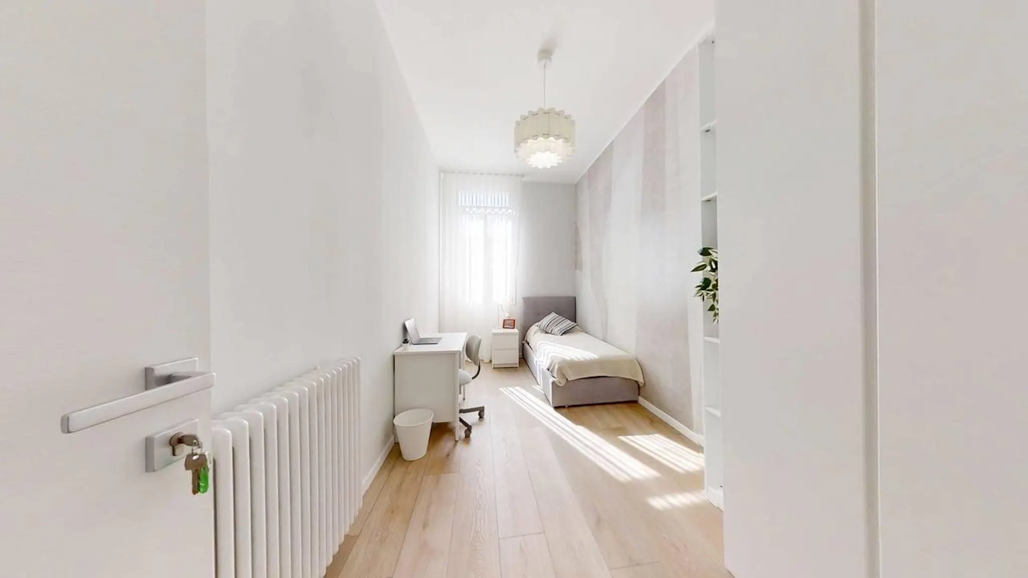 Via San Francesco, Padova preview