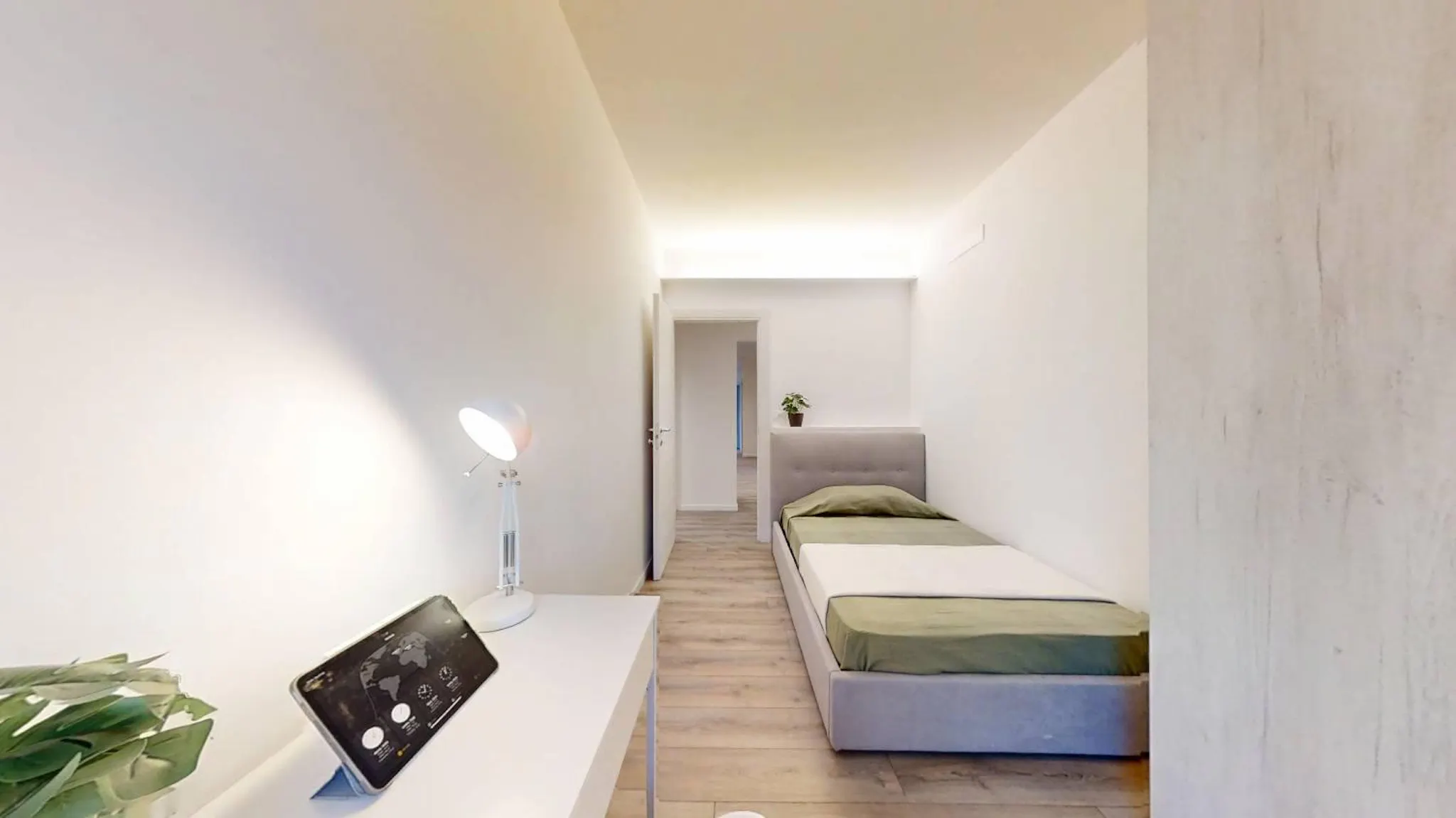 Via Luigi Pellizzo, Padova preview