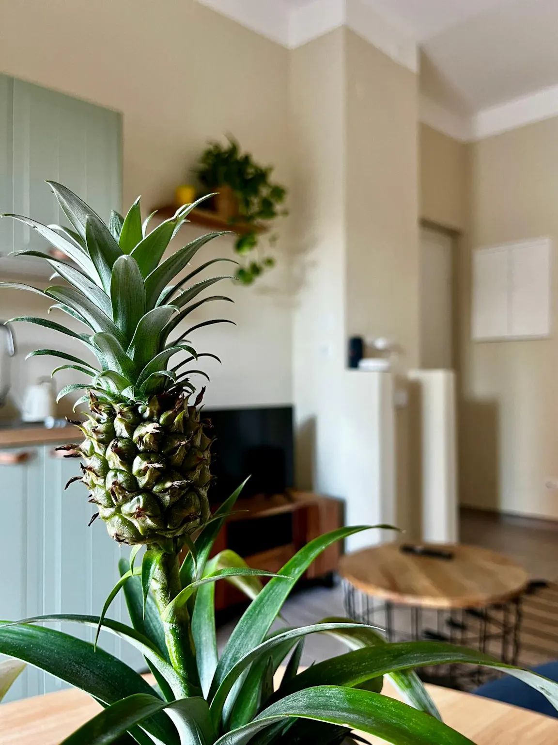 1-Bedroom Building in Viale Libertà, Monza 4