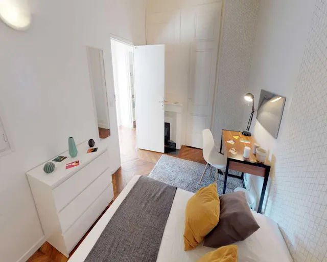 Private room in Rue Émile Zola, Lyon (1700062) room image 1