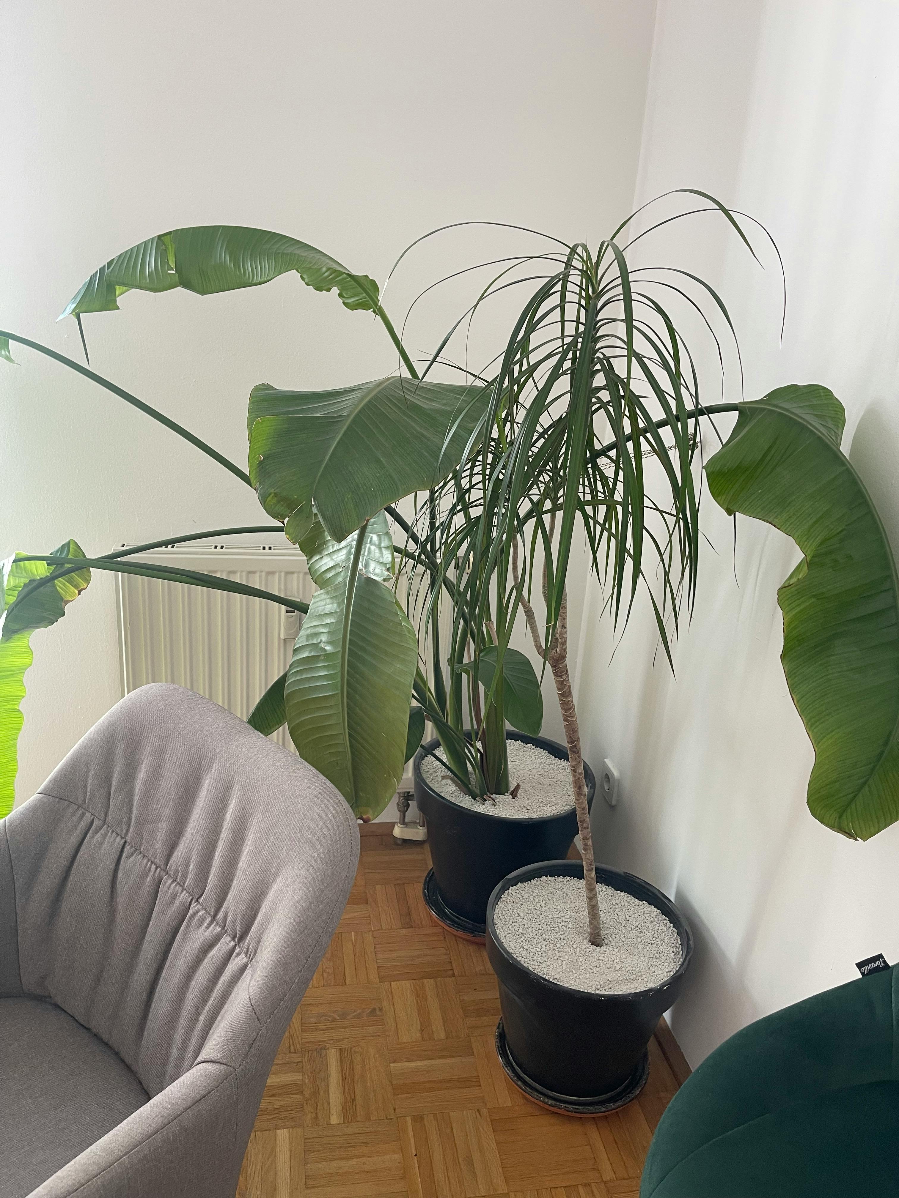 Apartment Vienna, 1 bed — photo 7