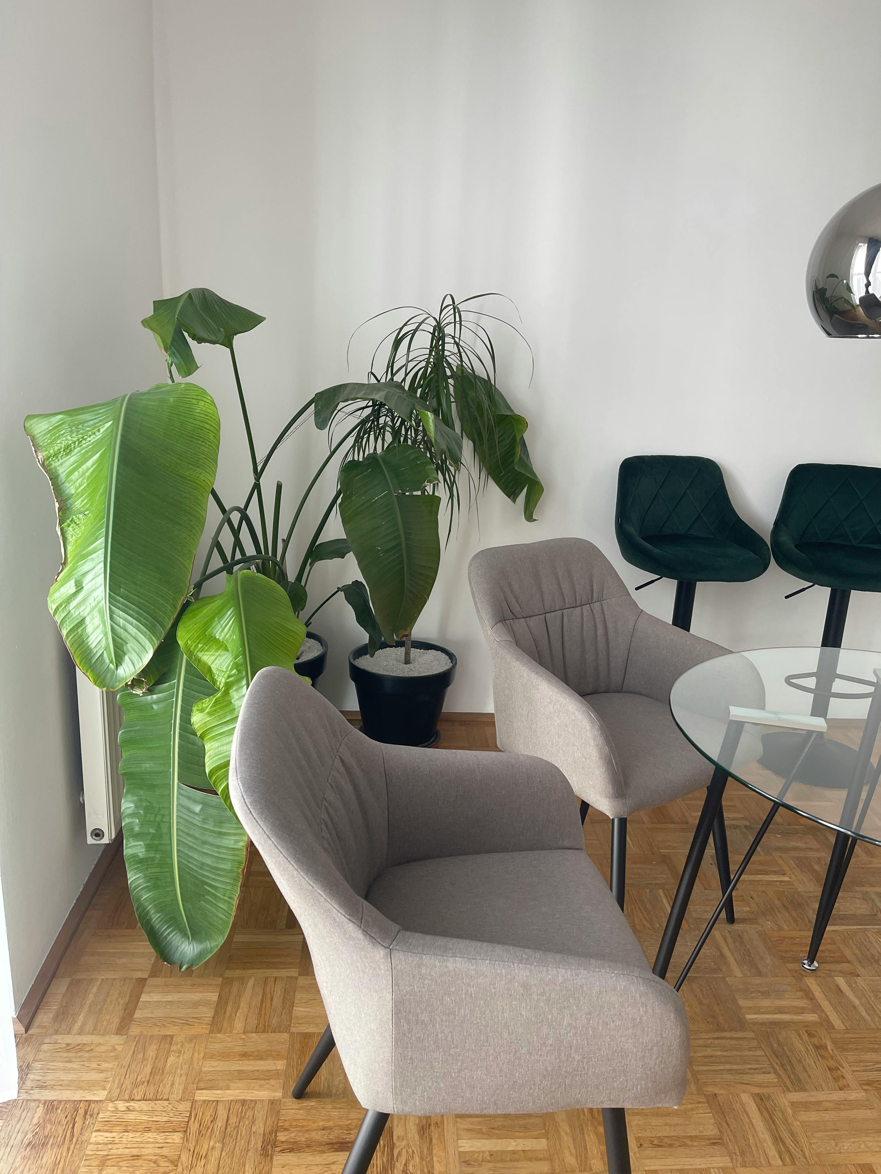 Apartment Vienna, 1 bed — photo 2