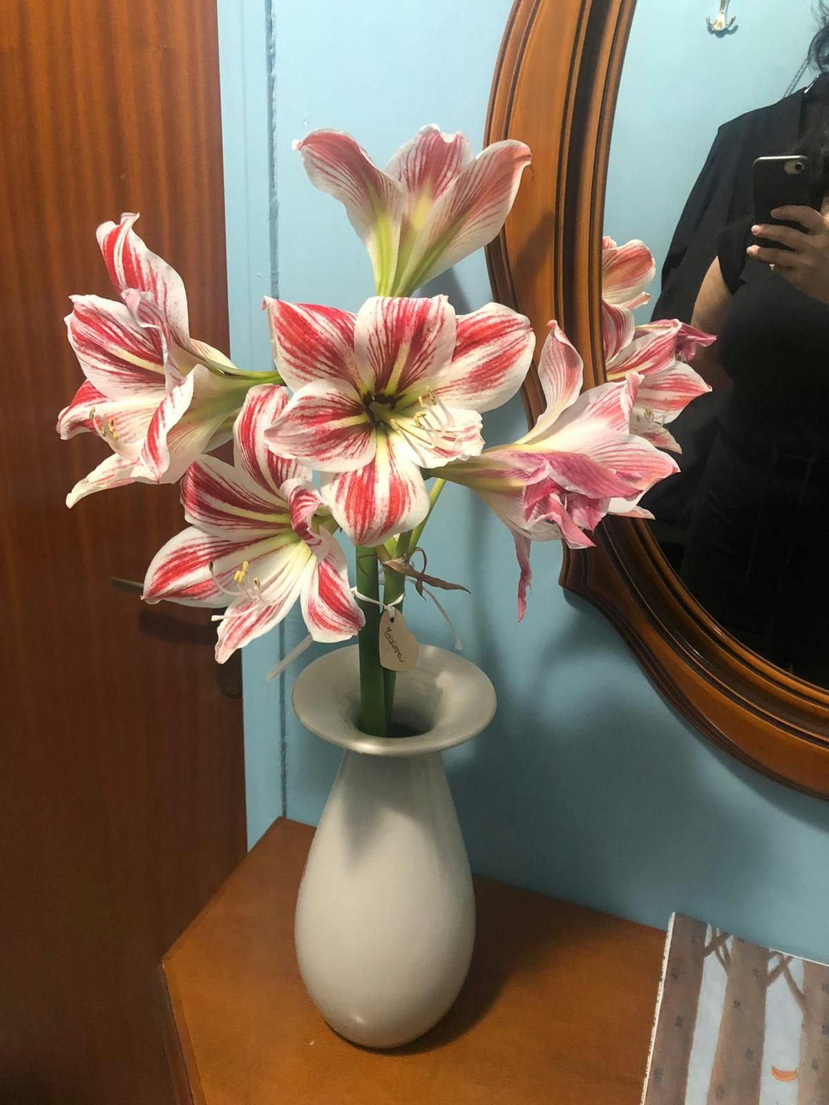 Private room for rent for €1,000 per month in Mascali, Viale Ugo La Malfa