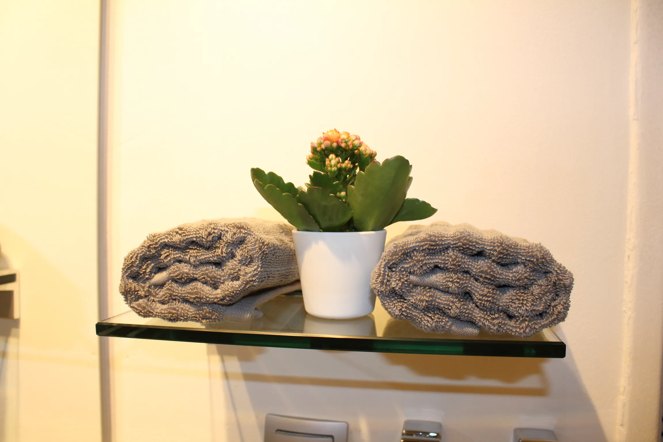 Apartment in Julius-Brecht-Straße, Hamburg (1700720) ROOM 1