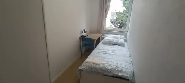 Private room in Kampstraße, Bochum (1700726) room image 2