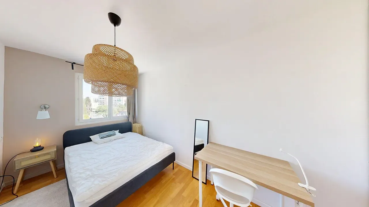 Private room in Rue Guillaume d'Autignac, Montpellier (1700740) ROOM 1