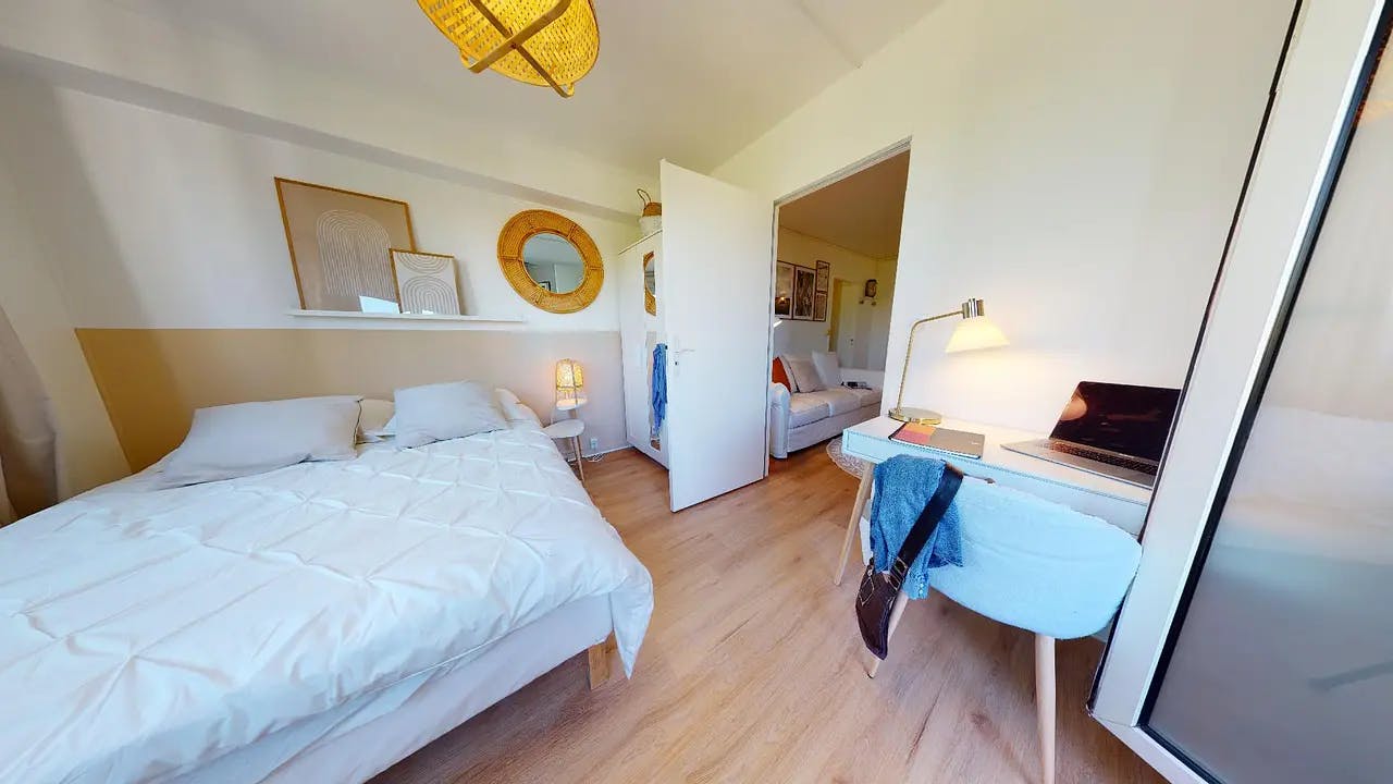 Rue Professeur Beauvisage, Lyon preview