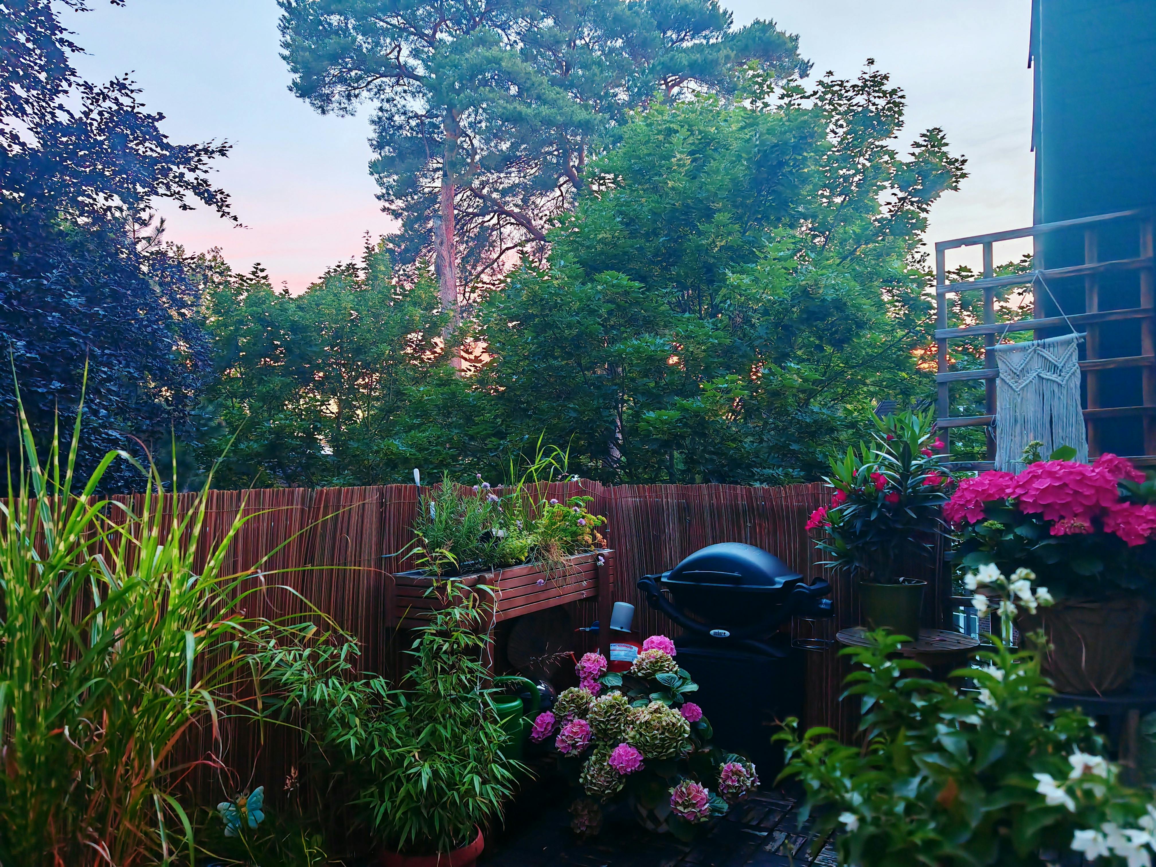 Steinstraße, Potsdam preview