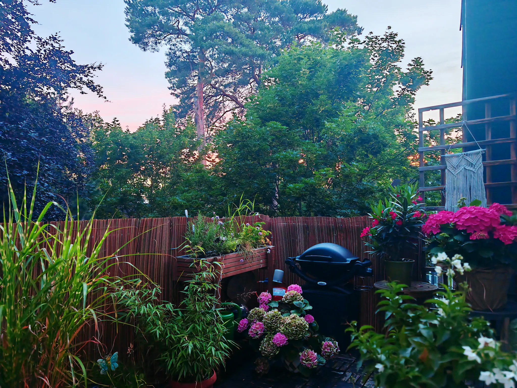 Steinstraße, Potsdam preview