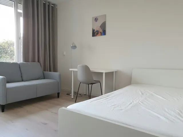 Private room in Dorpsweg, Rotterdam (1701150) room image 1