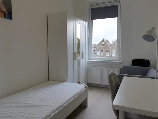 Private room in Dorpsweg, Rotterdam (1701151) room image 1