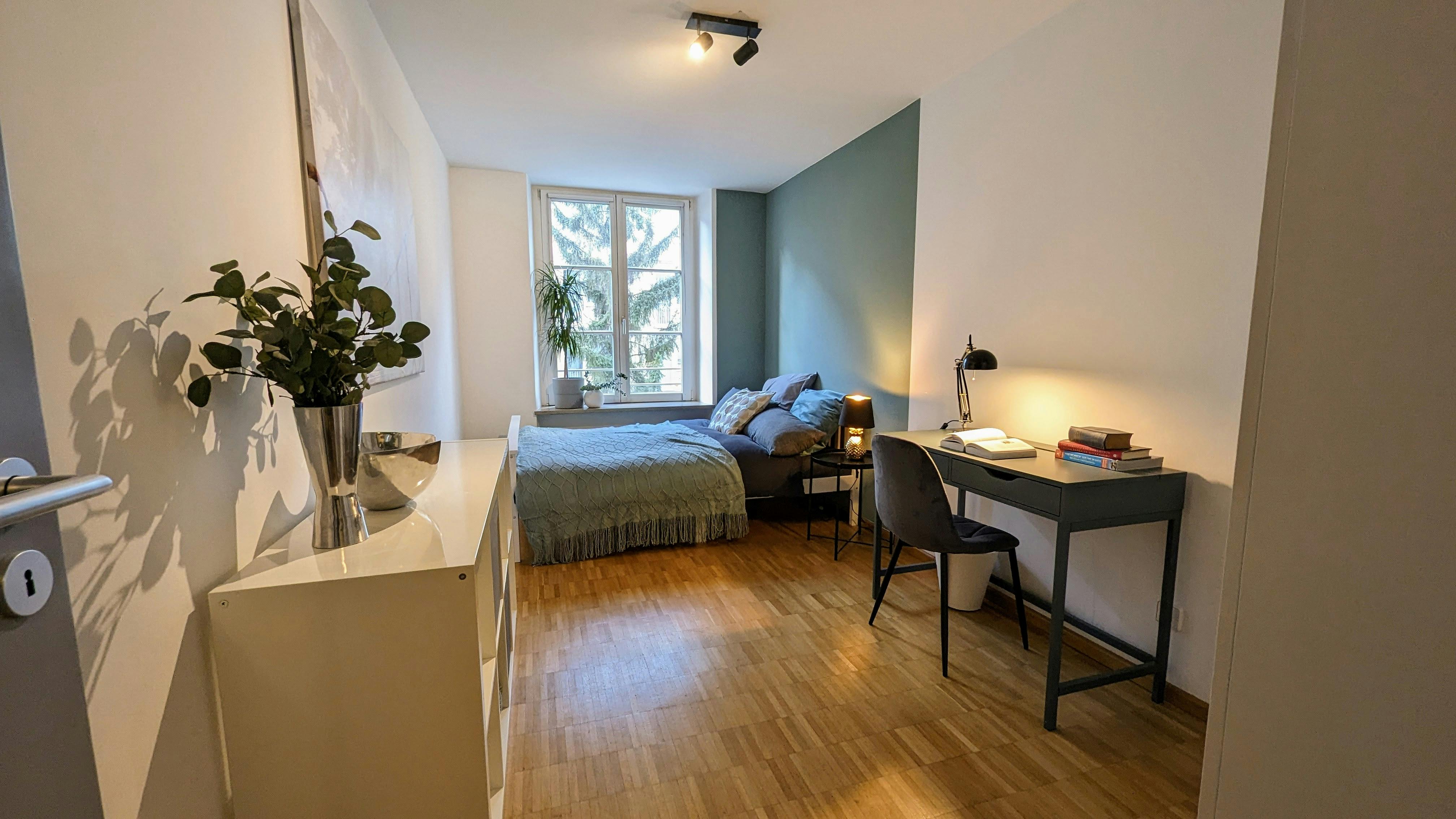 Brienner Straße, Munich preview