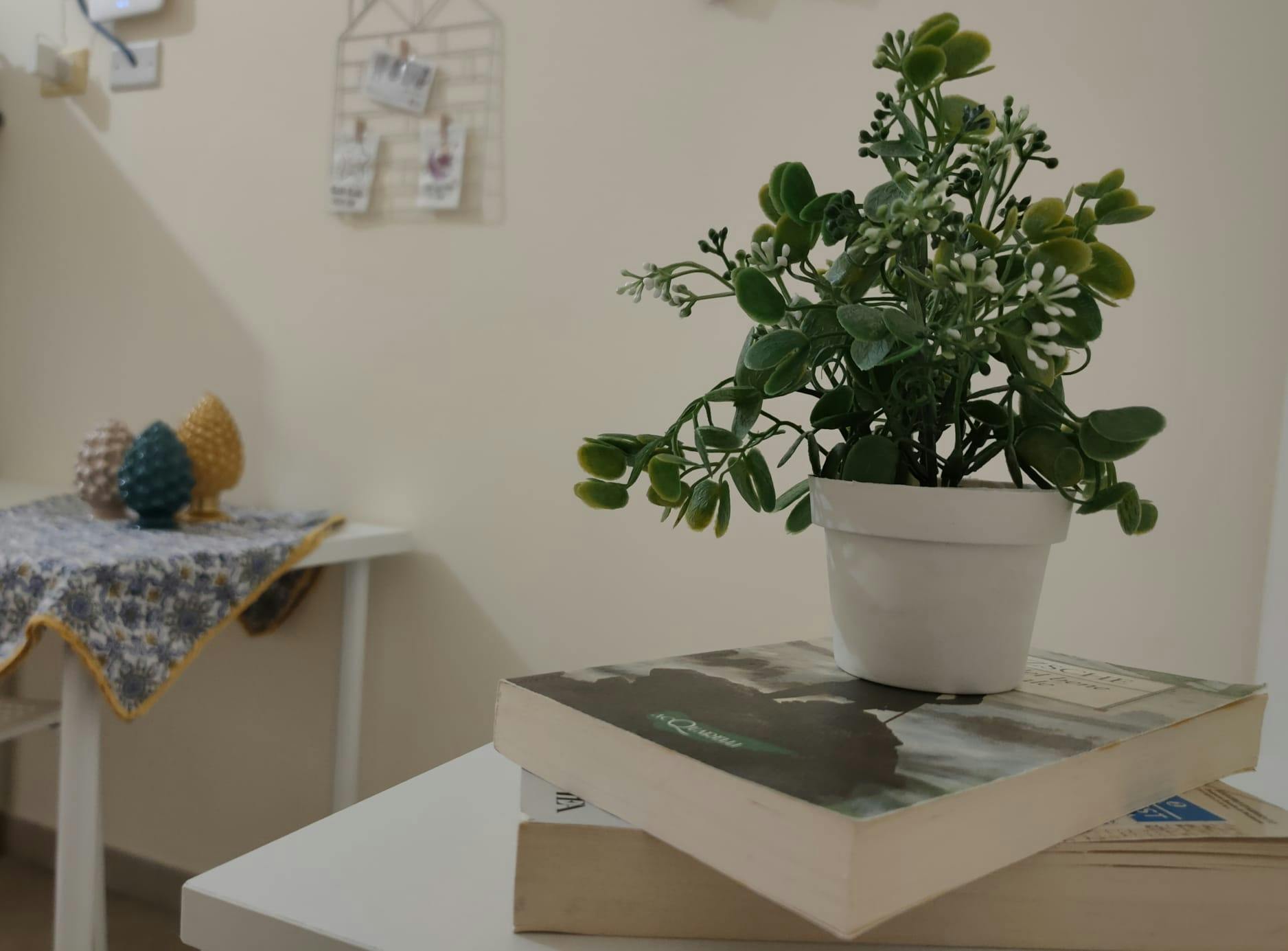 Studio for rent for €450 per month in Palermo, Via Rosario Gregorio