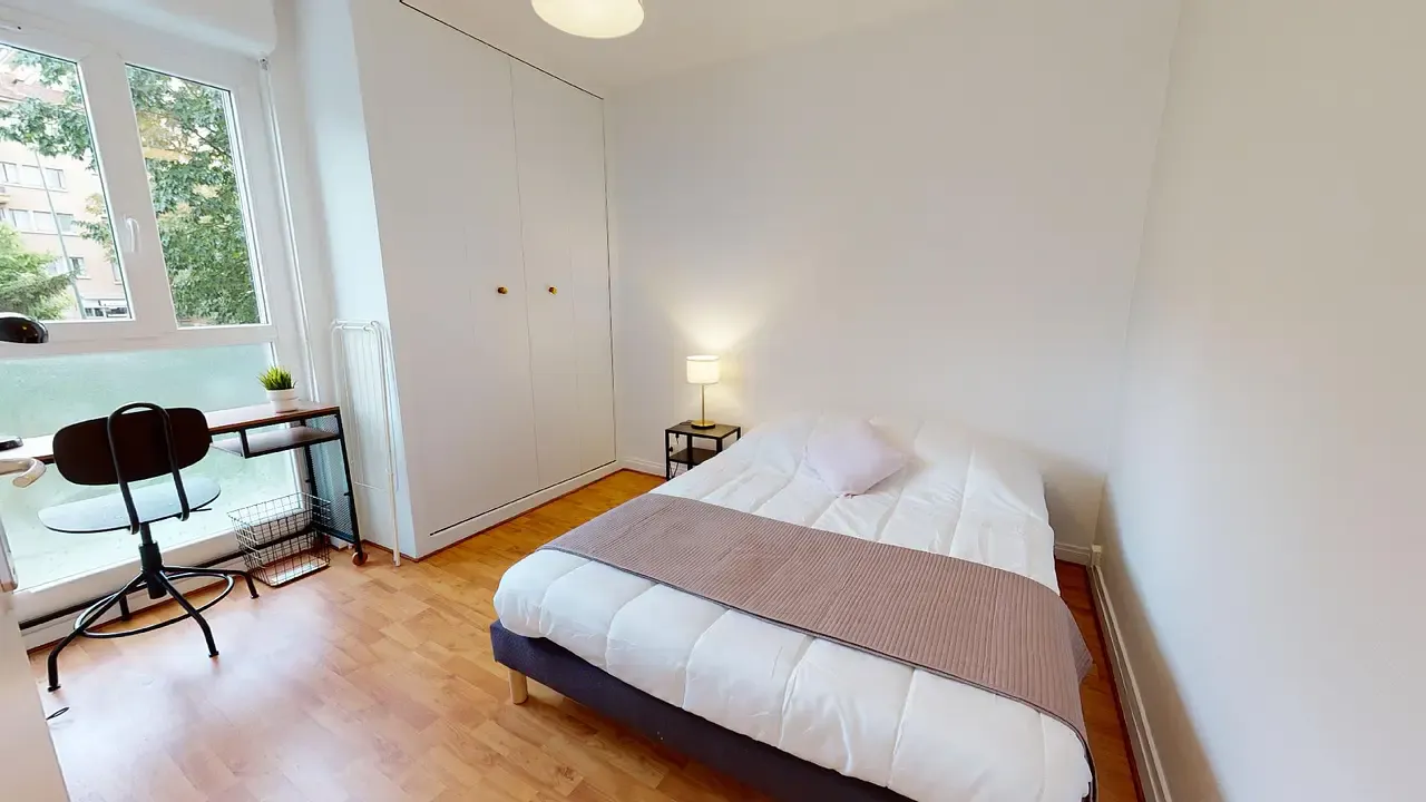 Private room in Avenue Auguste Blanqui, Villeurbanne (1701824) ROOM 1
