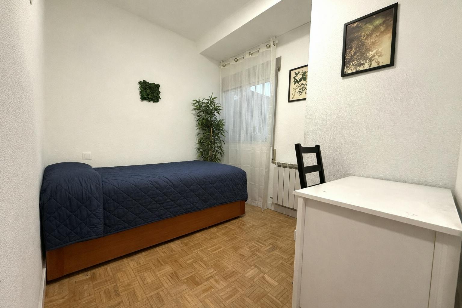 Paseo de la Castellana, Madrid preview