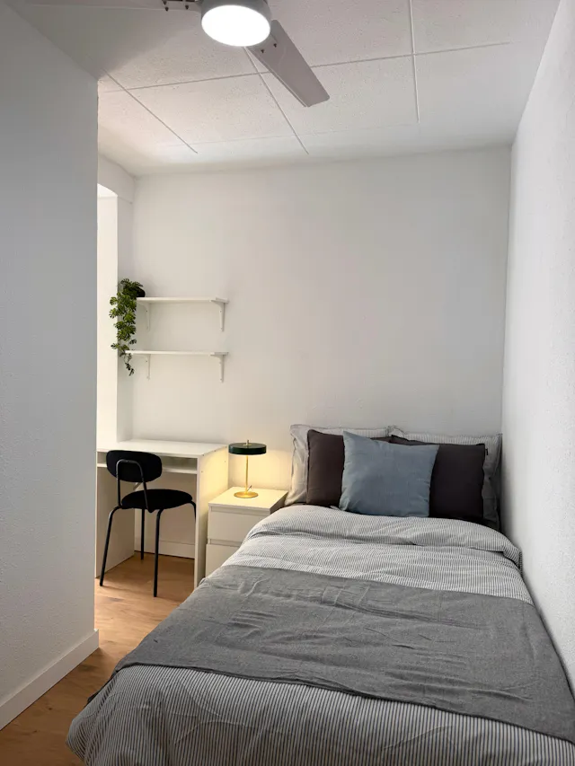 Private room in Carrer Julio Colomer, Valencia (1702095) room image 1