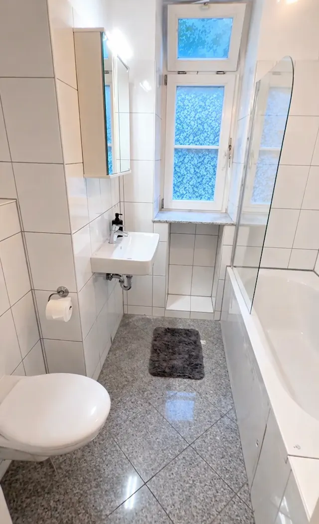 1-Bedroom Apartment in Deisenhofener Straße, Munich (1702143) room image 250