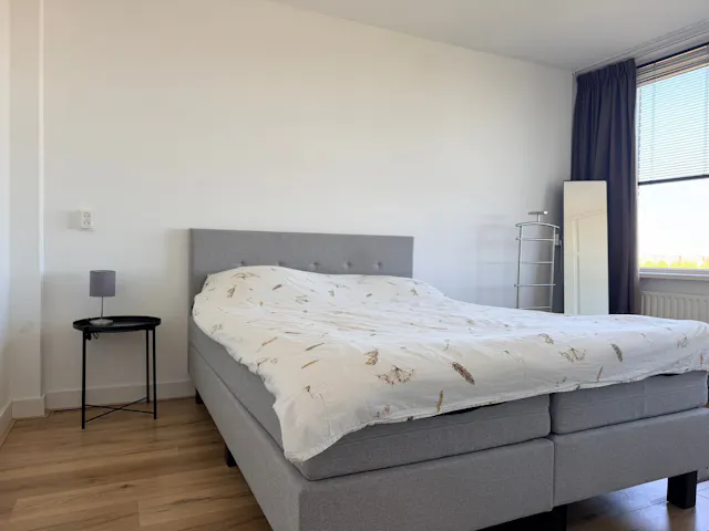 Private room in Molenvliet, Rotterdam (1702577) room image 1