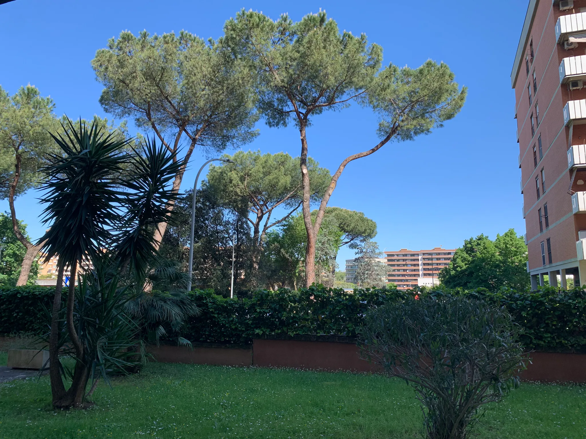 1-Bedroom Apartment in Via Pietro Marchisio, Rome (1702855) ROOM 3