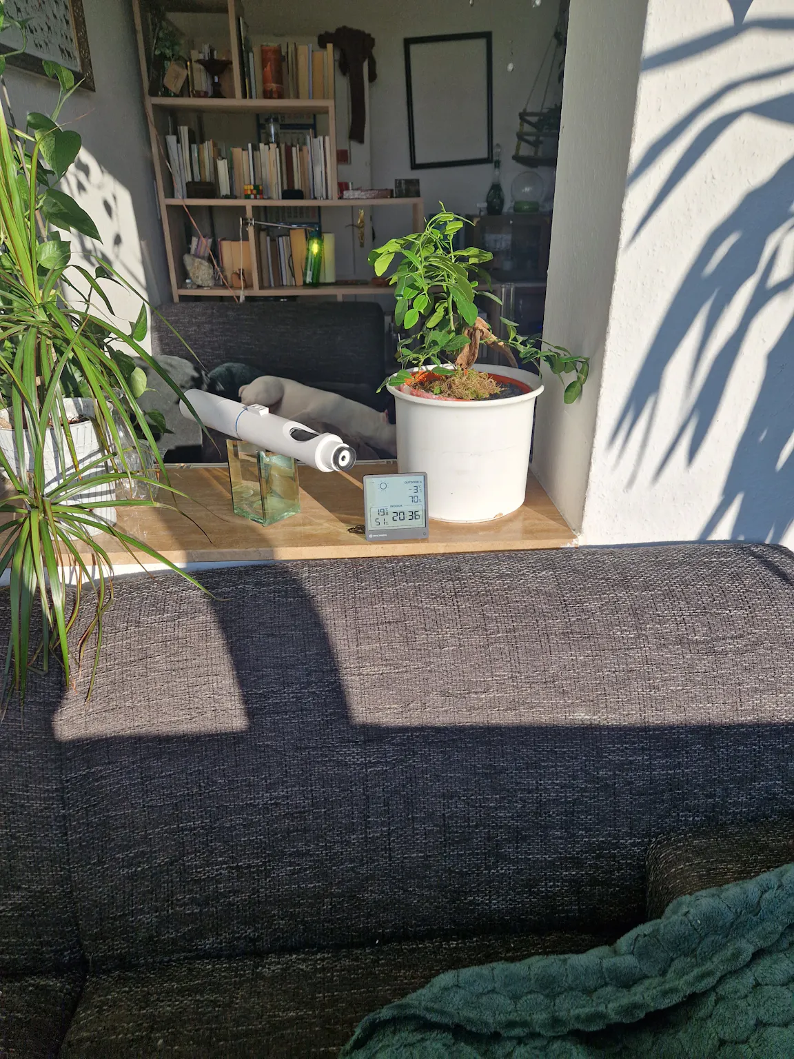 Private room in Eigenheimstraße, Leipzig (1702970) ROOM 2