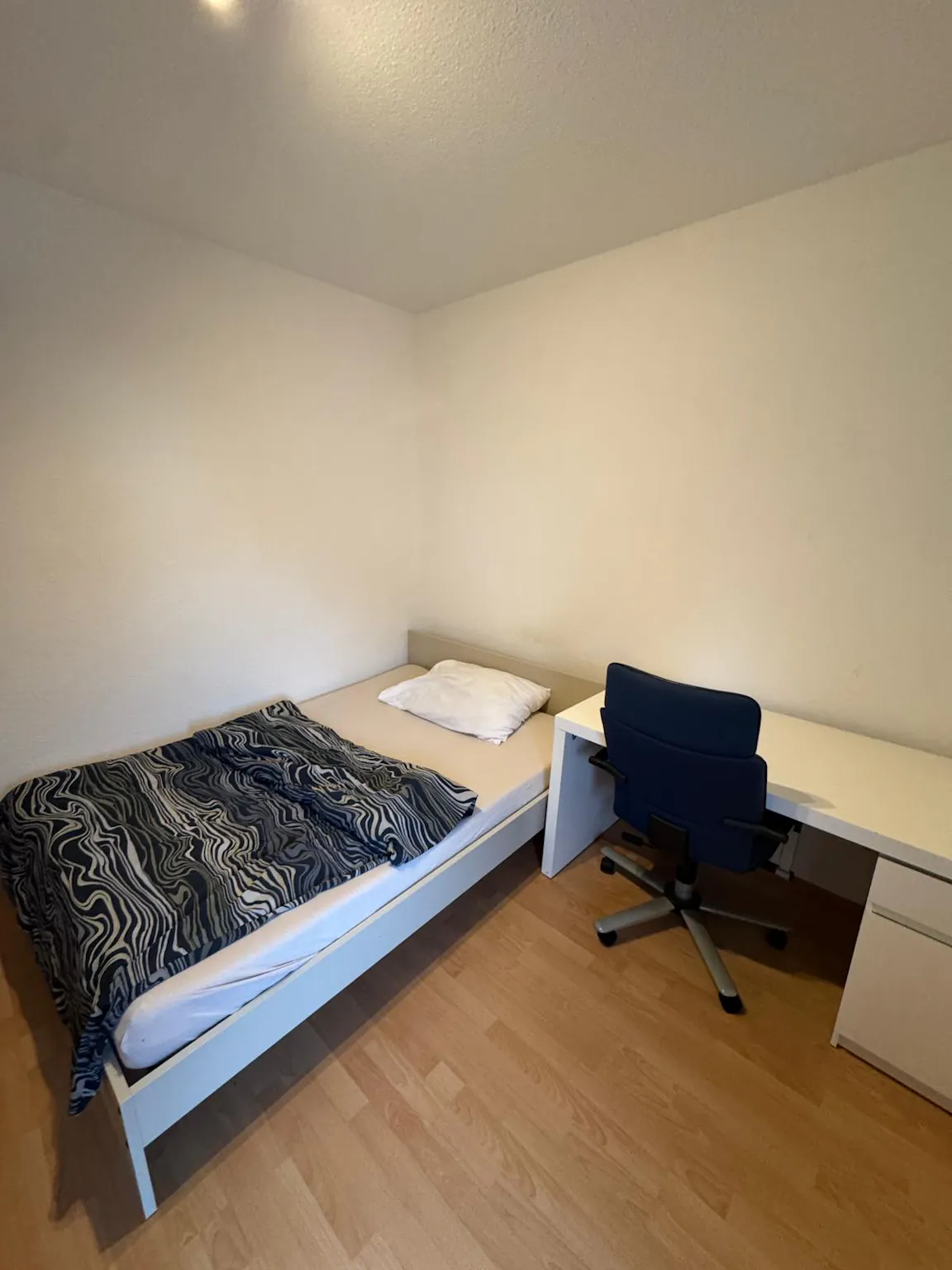 1-Bedroom Apartment in Seligenstädter Straße, Offenbach (1704431) ROOM 2