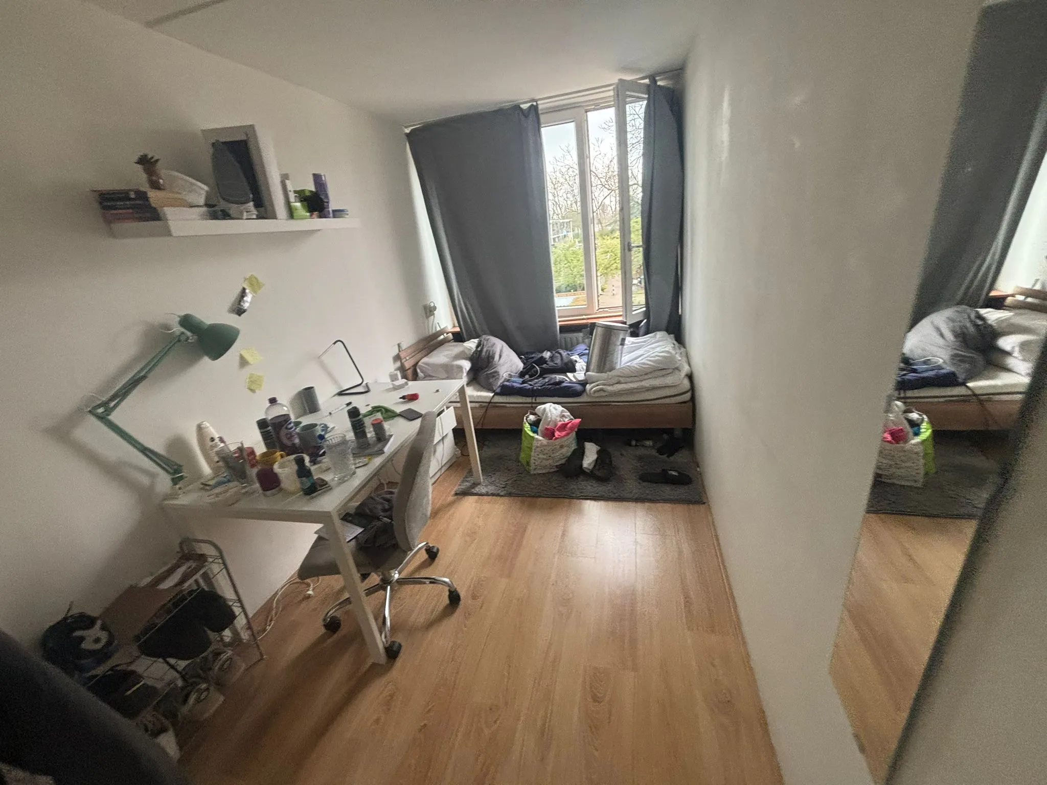 Paardebloem, Rotterdam preview