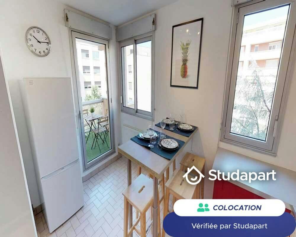 Private room for rent on Rue Juliette Récamier, Lyon - Plus