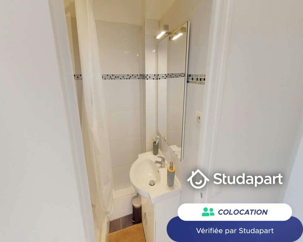 Private room for rent on Rue du Chemin Vert, Paris - Plus