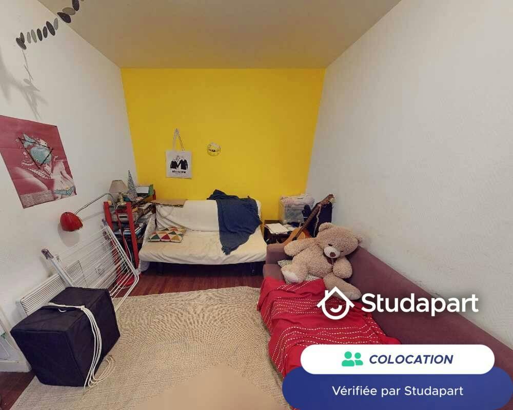Private room for rent on Place Voltaire, Lyon - Vue 4