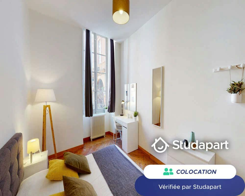 Private room for rent on Rue Peyras, Toulouse - Vue 5