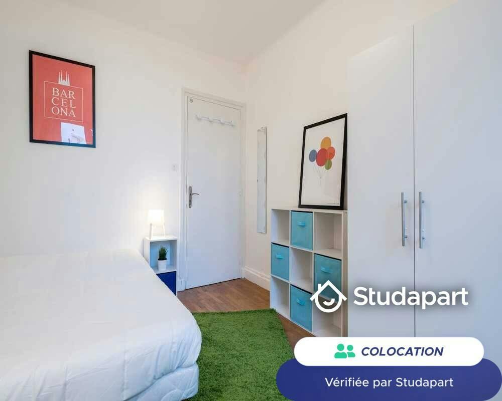 Private room for rent on Cours Suchet, Lyon - Vue 4