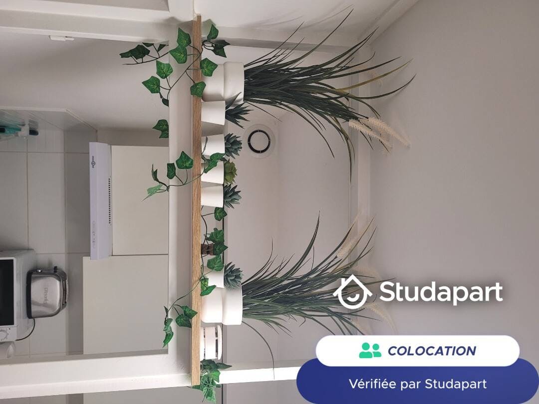 Habitación privada en alquiler por 400 € al mes en La Roche-sur-Yon, Rue de Wagram