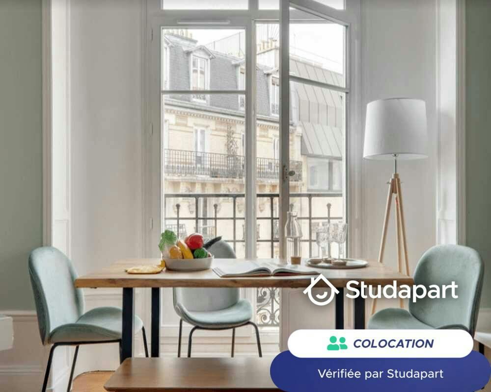 Private room for rent on Rue Emile Duclaux, Paris - Plus