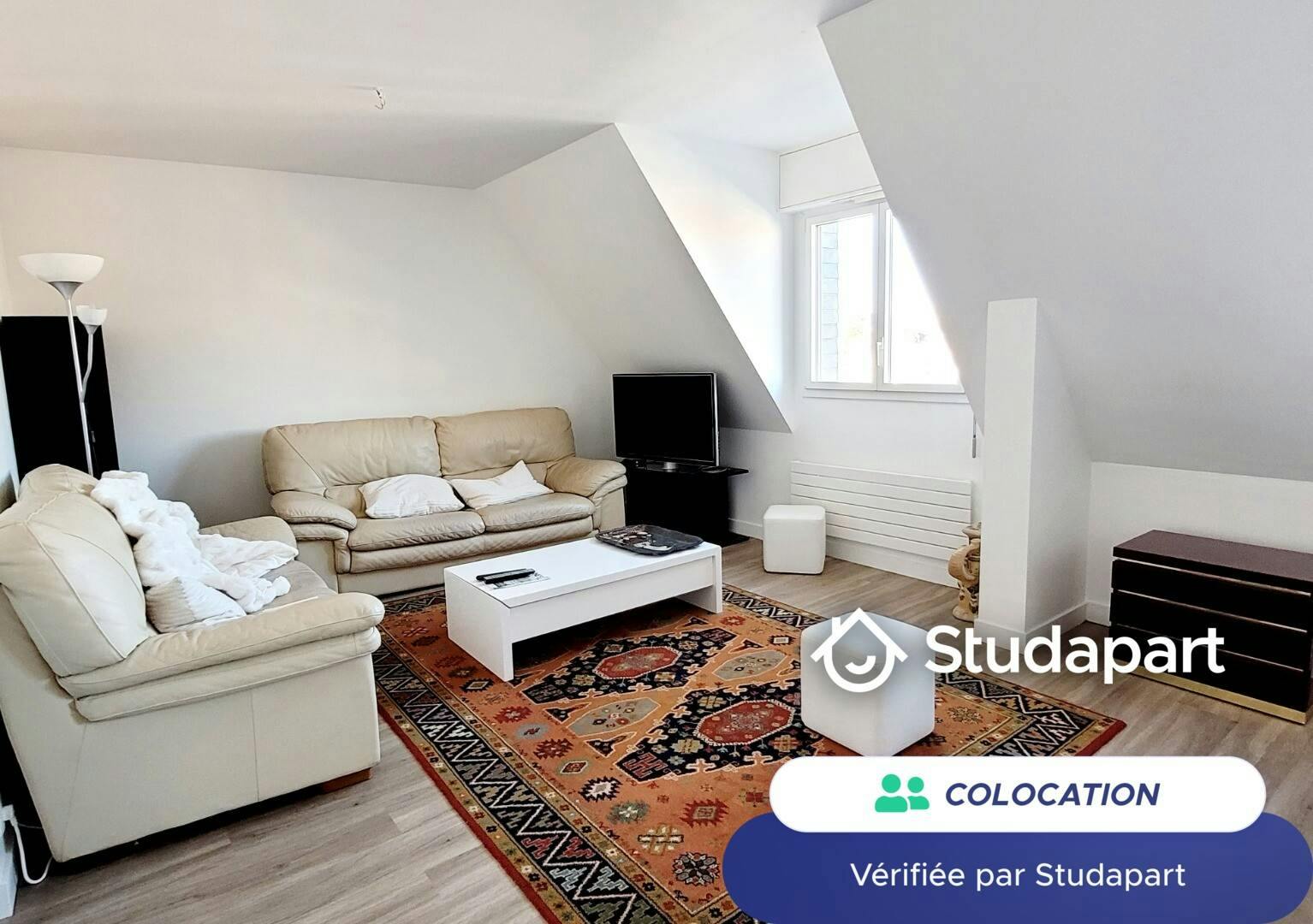 Private room for rent on Rue Ferdinand le Dressay, Vannes - Vaade 4
