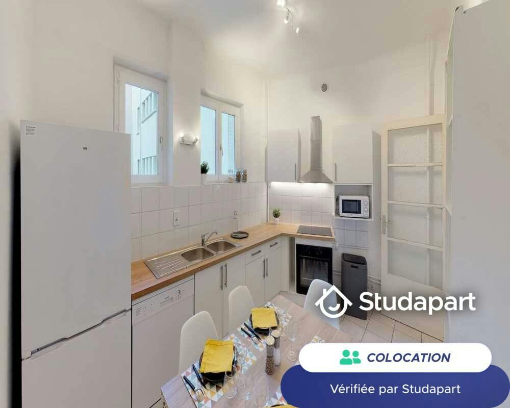 Private room for rent on Rue du Lac, Lyon - Plus