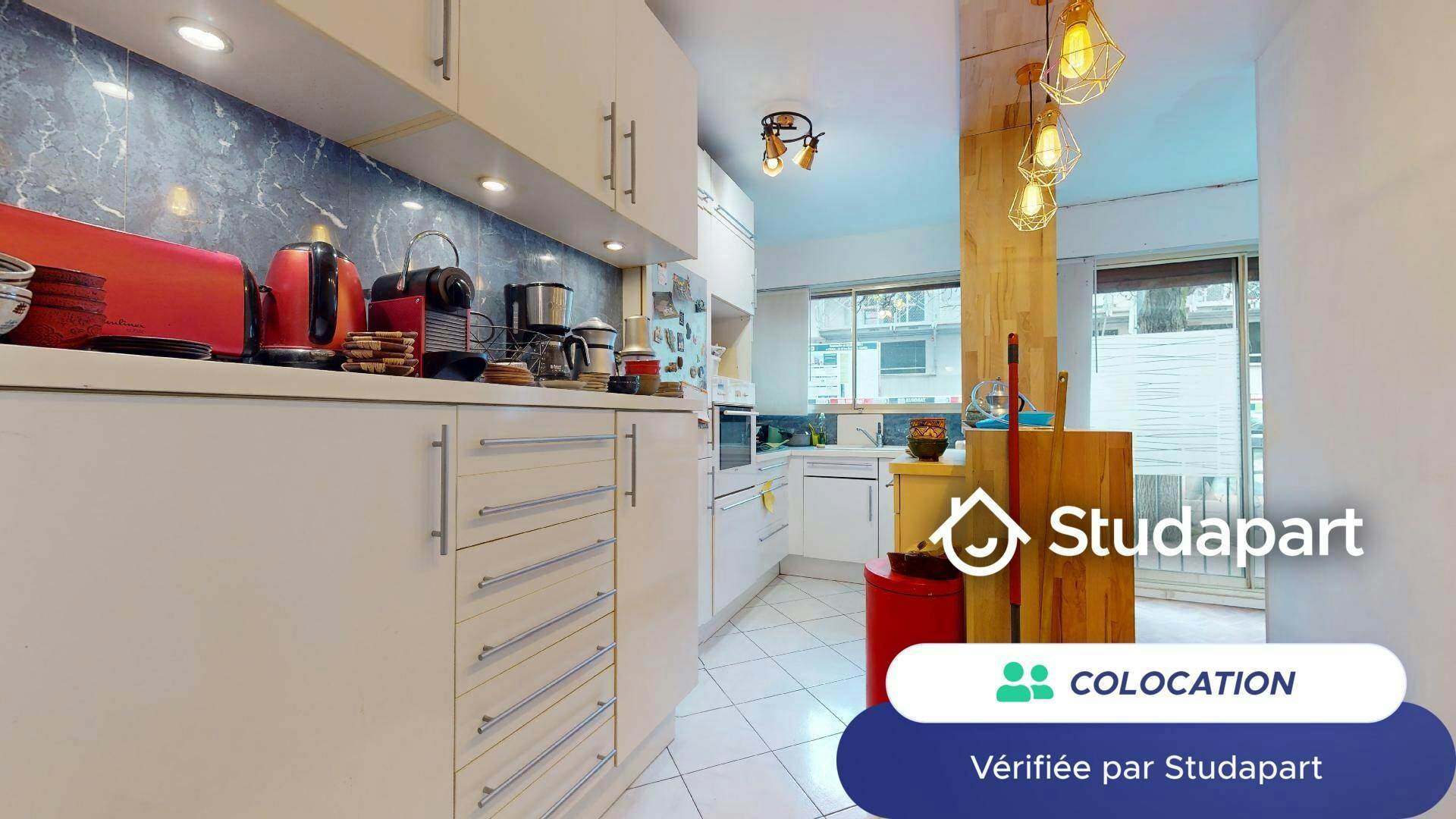 Private room for rent on Rue Raymond Marcheron, Vanves – pohled 4